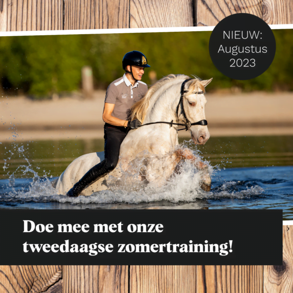 jesse drent zometraining